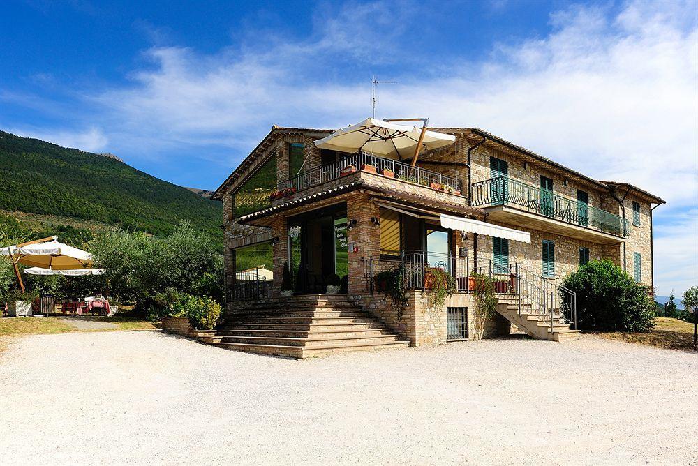 Colle Degli Olivi Snc Guest House Assisi Ngoại thất bức ảnh