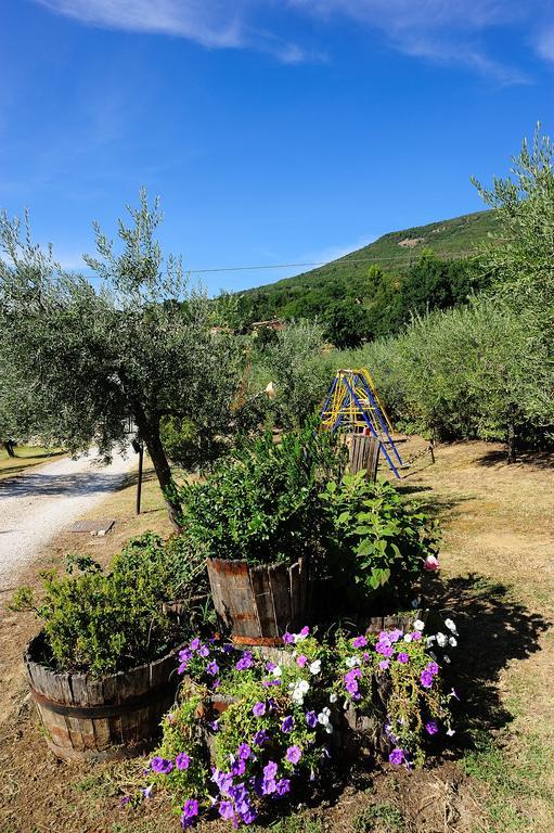 Colle Degli Olivi Snc Guest House Assisi Ngoại thất bức ảnh