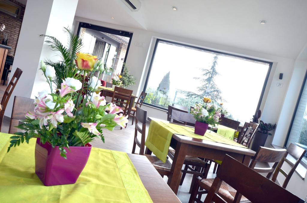Colle Degli Olivi Snc Guest House Assisi Ngoại thất bức ảnh